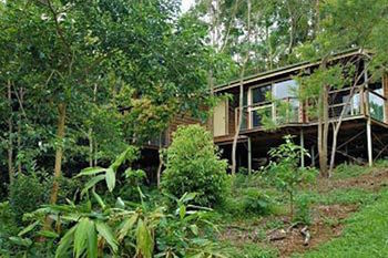 Kondalilla Eco Resort - Coogee Beach Accommodation 22