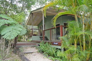 Kondalilla Eco Resort - Coogee Beach Accommodation 24