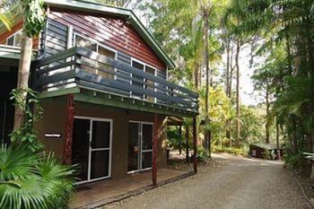 Kondalilla Eco Resort - Coogee Beach Accommodation 25