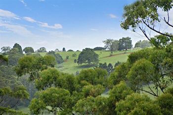 Kondalilla Eco Resort - Coogee Beach Accommodation 28