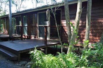 Kondalilla Eco Resort - Coogee Beach Accommodation 29