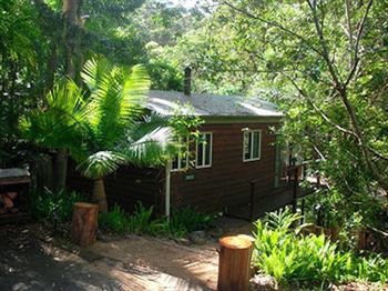 Kondalilla Eco Resort - Coogee Beach Accommodation 30