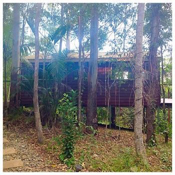 Kondalilla Eco Resort - Coogee Beach Accommodation 32