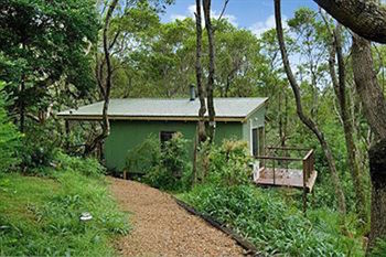 Kondalilla Eco Resort - Coogee Beach Accommodation 34