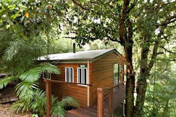 Kondalilla Eco Resort - Coogee Beach Accommodation 35