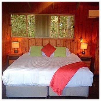 Kondalilla Eco Resort - Coogee Beach Accommodation 42