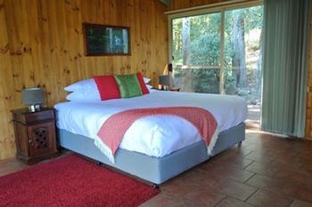 Kondalilla Eco Resort - Coogee Beach Accommodation 43