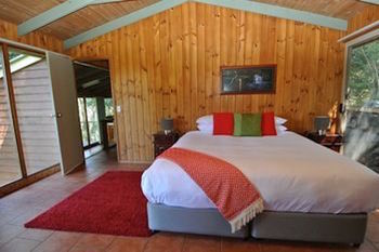 Kondalilla Eco Resort - Coogee Beach Accommodation 45