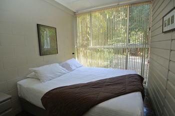Kondalilla Eco Resort - Coogee Beach Accommodation 47