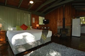Kondalilla Eco Resort - Coogee Beach Accommodation 49