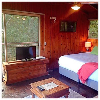 Kondalilla Eco Resort - Coogee Beach Accommodation 50