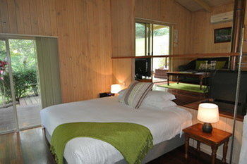 Kondalilla Eco Resort - Coogee Beach Accommodation 52