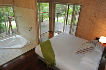 Kondalilla Eco Resort - Coogee Beach Accommodation 53