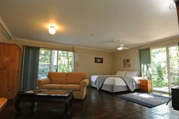 Kondalilla Eco Resort - Coogee Beach Accommodation 58