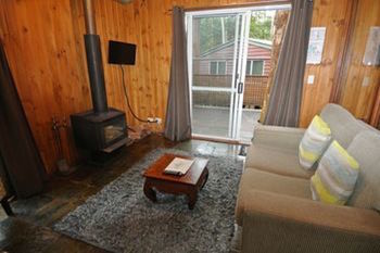 Kondalilla Eco Resort - Coogee Beach Accommodation 69