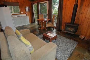 Kondalilla Eco Resort - Coogee Beach Accommodation 73