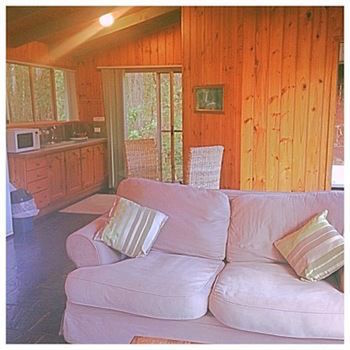 Kondalilla Eco Resort - Coogee Beach Accommodation 81