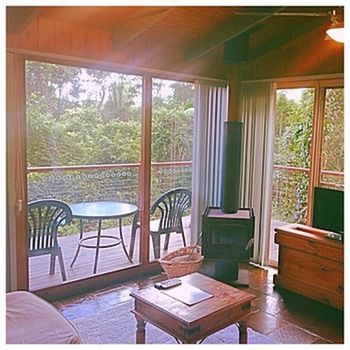 Kondalilla Eco Resort - Coogee Beach Accommodation 89