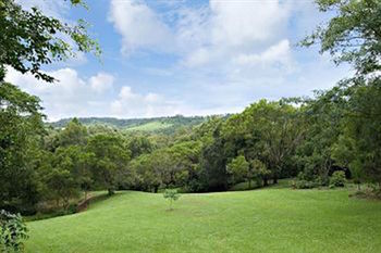 Kondalilla Eco Resort - Coogee Beach Accommodation 97