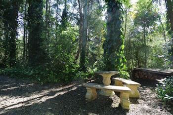Kondalilla Eco Resort - Coogee Beach Accommodation 98