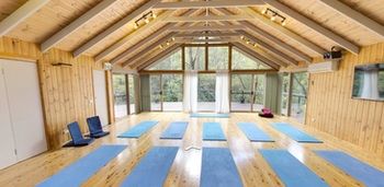 Kondalilla Eco Resort - Coogee Beach Accommodation 99