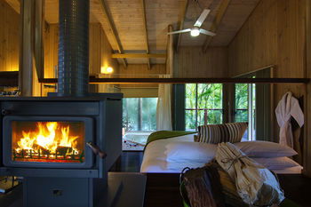Kondalilla Eco Resort - Coogee Beach Accommodation 102