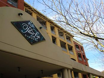 Waldorf Randwick Serviced Apartments - Coogee Beach Accommodation 5
