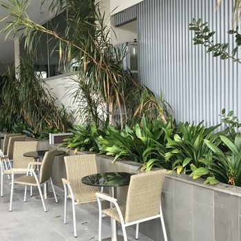 Best Western Premier Hotel 115 Kew - Coogee Beach Accommodation 22
