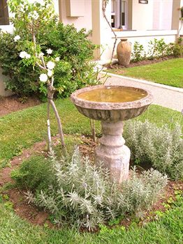 Admiral Collingwood Lodge - Coogee Beach Accommodation 0