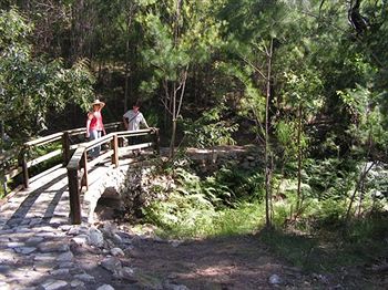 Glass House Mountains Ecolodge - Coogee Beach Accommodation 9