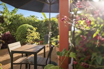 Eden Lodge - Coogee Beach Accommodation 27