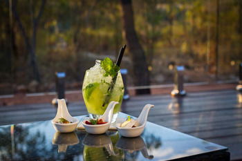 Cicada Lodge - Coogee Beach Accommodation 7