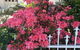 North Ryde Guest House - thumb 31