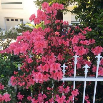 North Ryde Guest House - Coogee Beach Accommodation 31