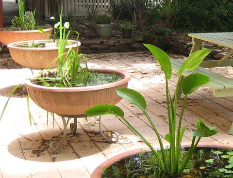 Sinclairs Of Burwood Bed And Breakfast - Coogee Beach Accommodation 4