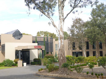 Dingley International Hotel - Coogee Beach Accommodation 24