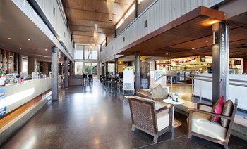 Villa Noosa Hotel - Coogee Beach Accommodation 3