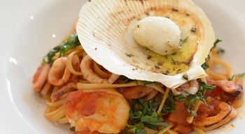 Miramare Gardens - Coogee Beach Accommodation 8