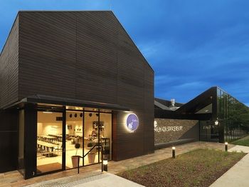 Vibe Hotel Marysville - Coogee Beach Accommodation 3