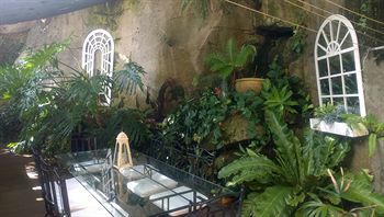 Linley House Bed & Breakfast - Coogee Beach Accommodation 3