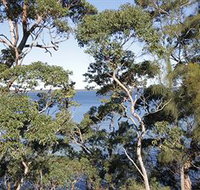 The Edgewater Bed amp Breakfast - Coogee Beach Accommodation