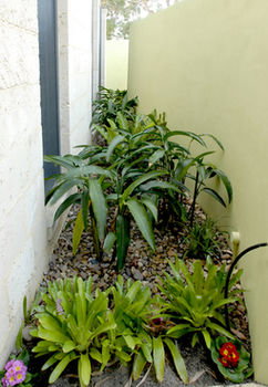 By The Beach B&B And Apartments - Coogee Beach Accommodation 5