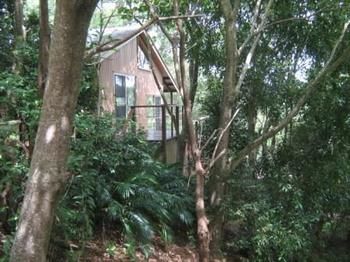 Belle's At Montville - Coogee Beach Accommodation 0