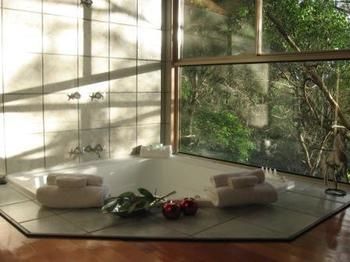 Belle's At Montville - Coogee Beach Accommodation 13