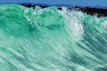 Bella Villas Of Jervis Bay - Coogee Beach Accommodation 10