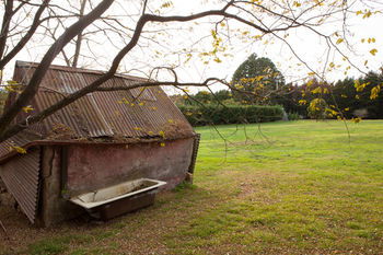 Seclusions Blue Mountains - Coogee Beach Accommodation 10
