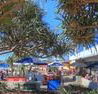 Alex Beach Cabins - Coogee Beach Accommodation