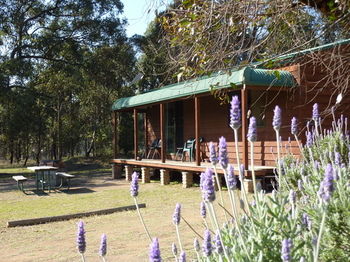 Hunter Hideaway Cottages - Coogee Beach Accommodation 4