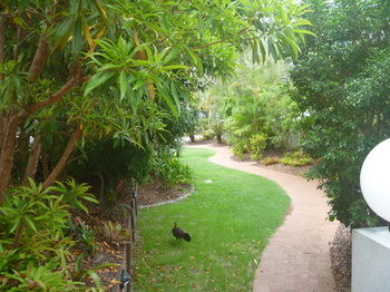 Chez Noosa Resort Motel - Coogee Beach Accommodation 21