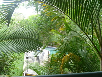 Chez Noosa Resort Motel - Coogee Beach Accommodation 29
